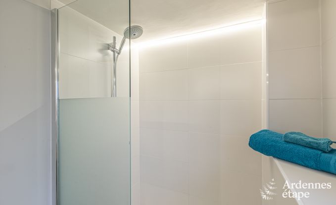 Ferienhaus Hotton 8/10 Pers. Ardennen