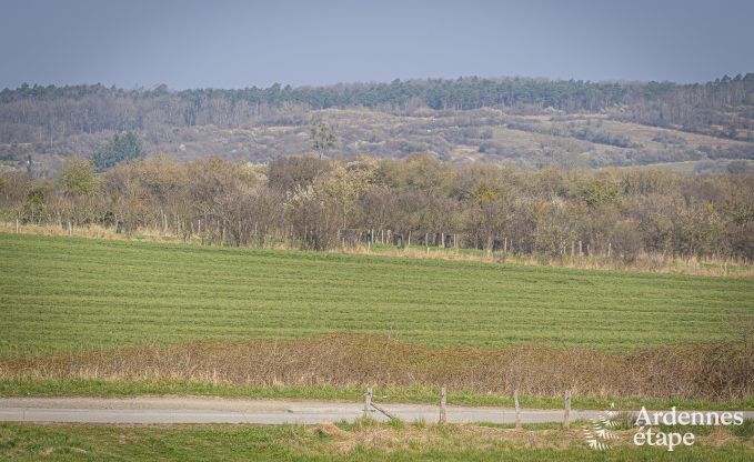 Luxusvilla Hotton 12 Pers. Ardennen Wellness Behinderten gerecht