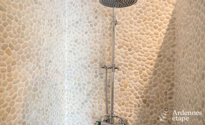 Ferienhaus Hotton 9 Pers. Ardennen Wellness