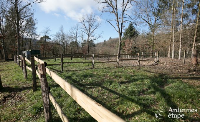 Ferienhaus Hotton 9 Pers. Ardennen Wellness