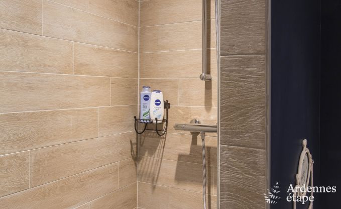 Ferienhaus Houffalize 18 Pers. Ardennen Wellness