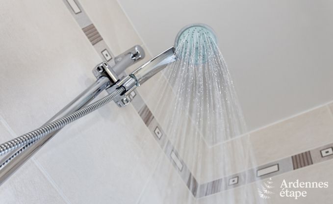 Ferienhaus Houffalize 12 Pers. Ardennen