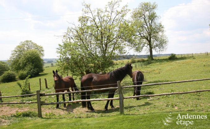 Ferienhaus Houffalize 12 Pers. Ardennen