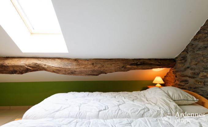 Ferienhaus Houffalize 12 Pers. Ardennen