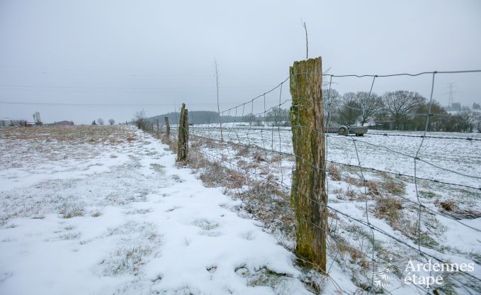 Ferienhaus Houffalize 9 Pers. Ardennen