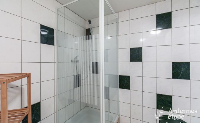 Ferienhaus Houffalize 9 Pers. Ardennen