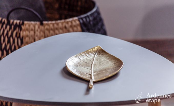 Ferienhaus Houffalize 9 Pers. Ardennen