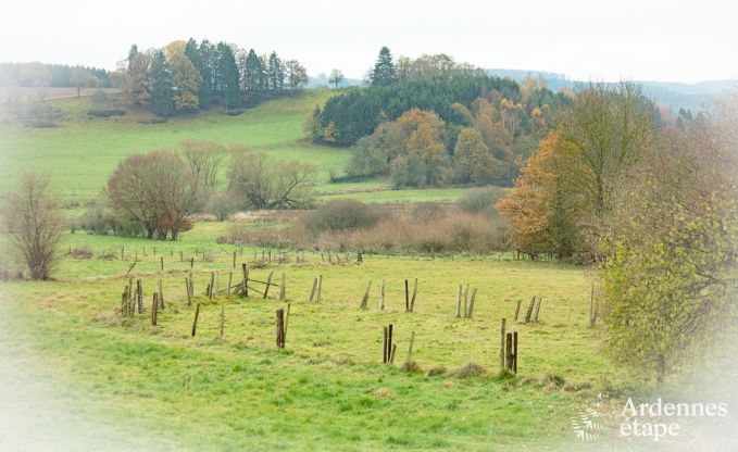 Ferienhaus Houffalize 9 Pers. Ardennen
