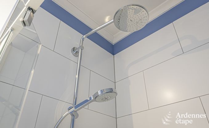 Ferienhaus Houffalize 9 Pers. Ardennen