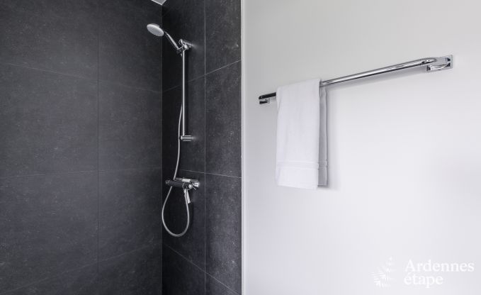 Ferienhaus Houffalize 10 Pers. Ardennen Wellness Behinderten gerecht