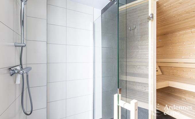 Ferienhaus Houffalize 10 Pers. Ardennen Wellness Behinderten gerecht