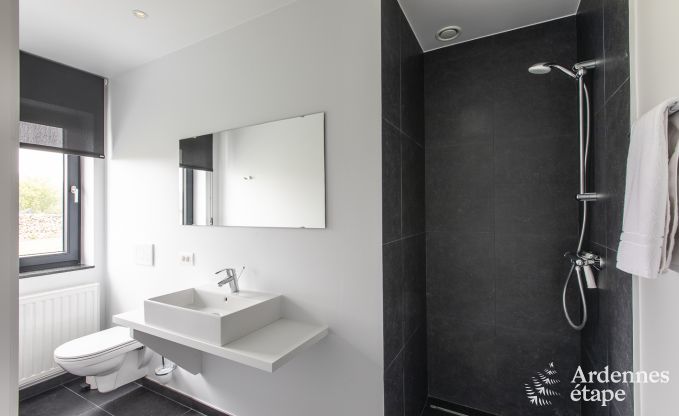 Ferienhaus Houffalize 10 Pers. Ardennen Wellness Behinderten gerecht