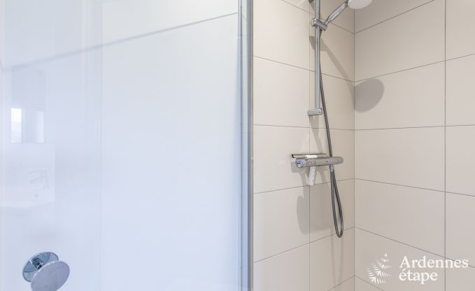 Ferienhaus Houffalize 10 Pers. Ardennen Wellness Behinderten gerecht