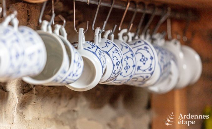 Ferienhaus Houffalize 10/12 Pers. Ardennen Wellness