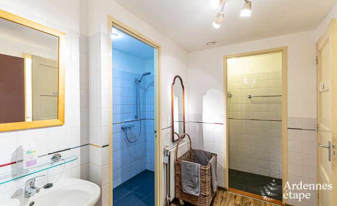 Ferienhaus Houffalize 10/12 Pers. Ardennen Wellness