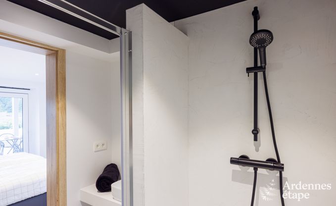 Ferienhaus Houffalize 8 Pers. Ardennen Wellness