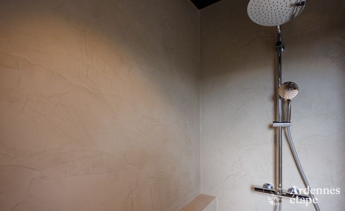 Ferienhaus Houffalize 8 Pers. Ardennen Wellness