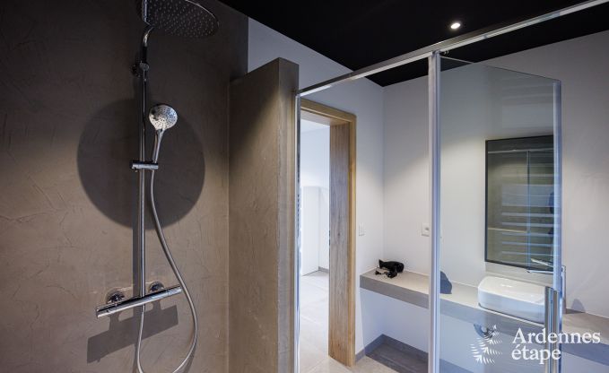 Ferienhaus Houffalize 8 Pers. Ardennen Wellness