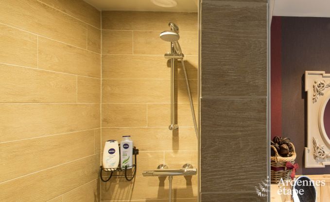 Ferienhaus Houffalize 18 Pers. Ardennen Wellness