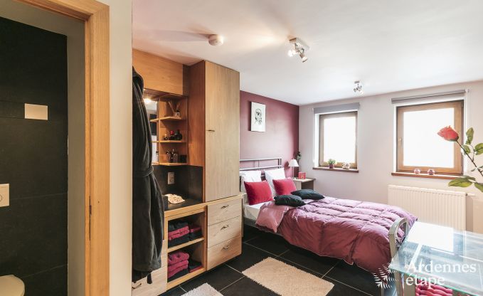 Ferienhaus Houffalize 23 Pers. Ardennen Wellness