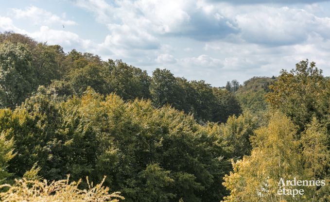 Ferienhaus Houffalize 23 Pers. Ardennen Wellness