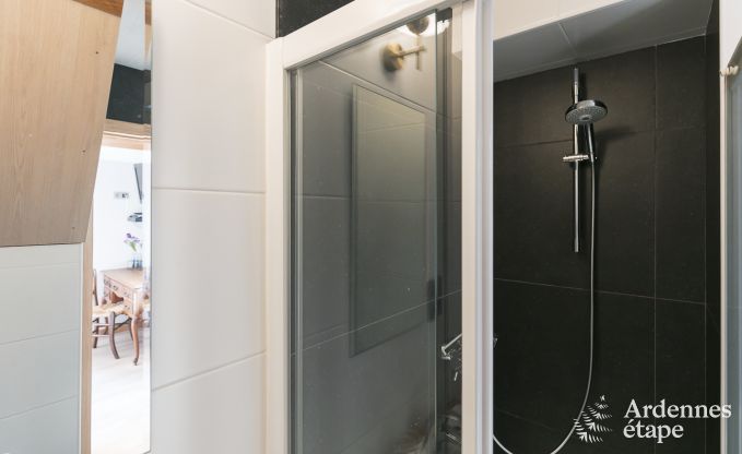 Ferienhaus Houffalize 23 Pers. Ardennen Wellness