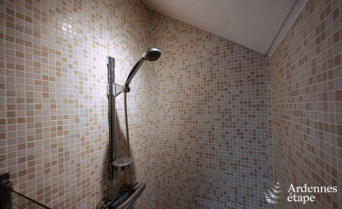 Ferienhaus Houffalize 9 Pers. Ardennen Schwimmbad Wellness