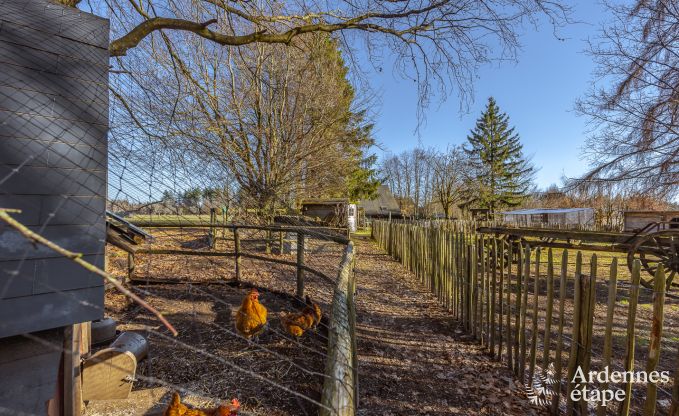 Ferienhaus Houffalize 9 Pers. Ardennen Schwimmbad Wellness