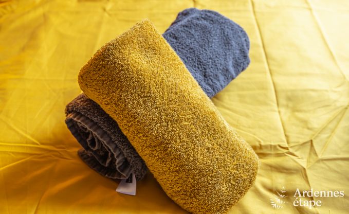 Ferienhaus Houffalize 9 Pers. Ardennen Schwimmbad Wellness