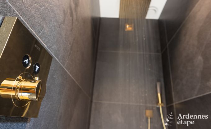 Luxusvilla Houffalize 10/12 Pers. Ardennen Schwimmbad Wellness Behinderten gerecht