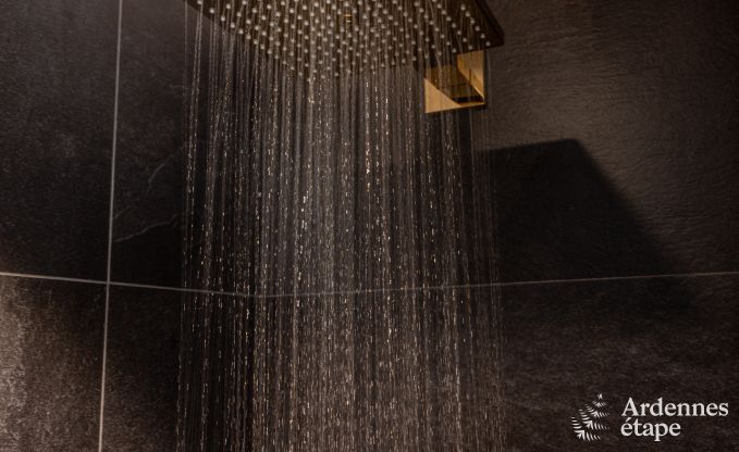 Luxusvilla Houffalize 10/12 Pers. Ardennen Schwimmbad Wellness Behinderten gerecht