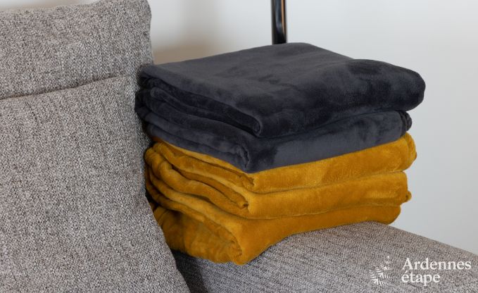 Luxusvilla Houffalize 10/12 Pers. Ardennen Schwimmbad Wellness Behinderten gerecht