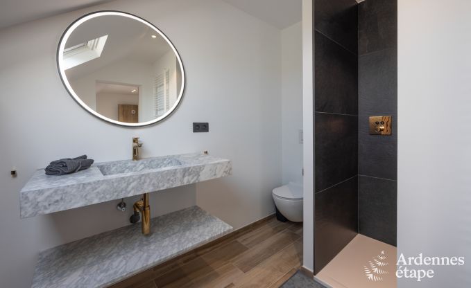 Luxusvilla Houffalize 10/12 Pers. Ardennen Schwimmbad Wellness Behinderten gerecht