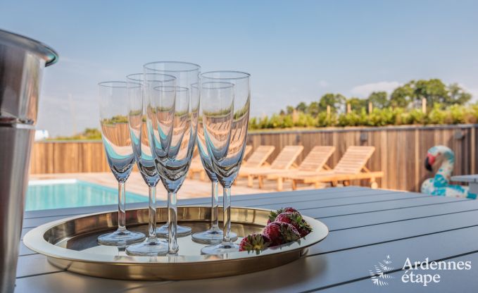 Luxusvilla Houffalize 10/12 Pers. Ardennen Schwimmbad Wellness Behinderten gerecht
