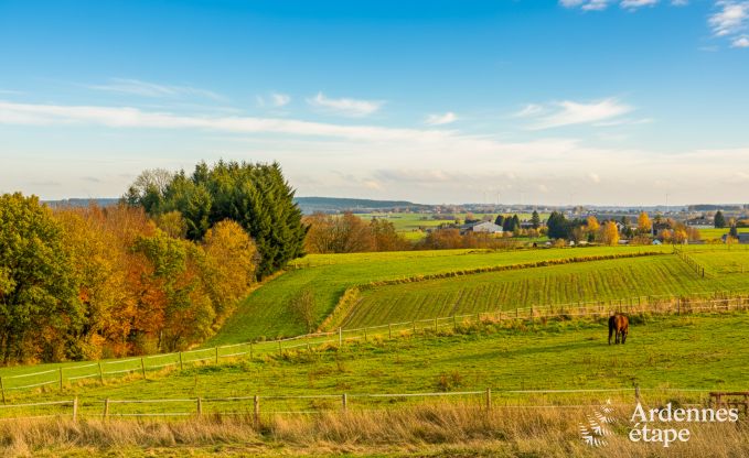 Luxusvilla in Houffalize: Unterkunft fr 22 Personen mit Pool, Sauna und Garten in den Ardennen