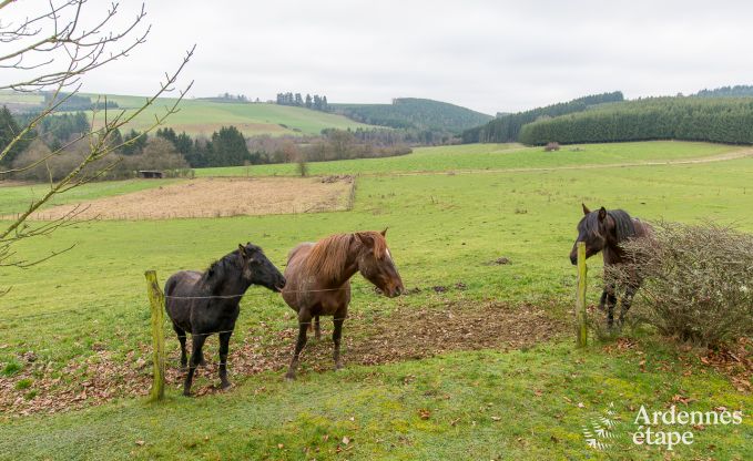 Chalet Houffalize 4/6 Pers. Ardennen