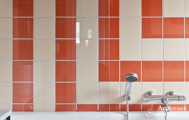 Cottage Houffalize 24 Pers. Ardennen Schwimmbad Wellness