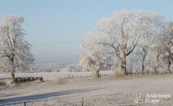 Ferienhaus Houffalize 12 Pers. Ardennen