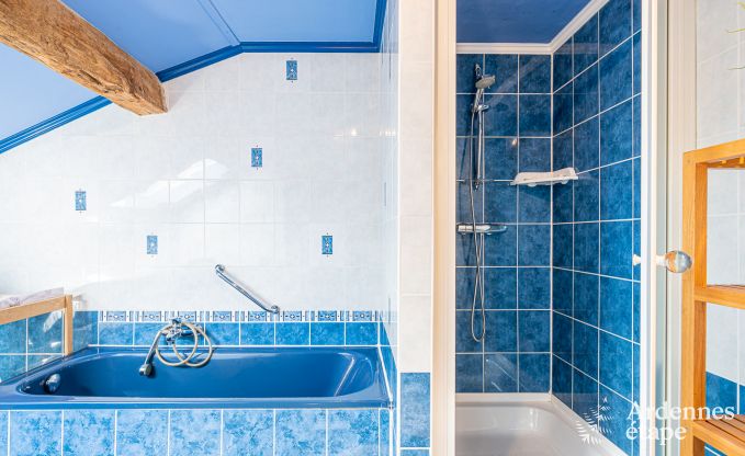 Ferienhaus Houffalize 11 Pers. Ardennen