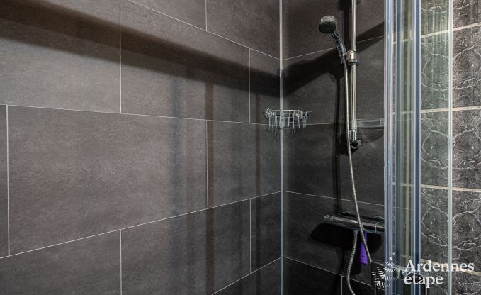 Ferienhaus Houffalize 11 Pers. Ardennen