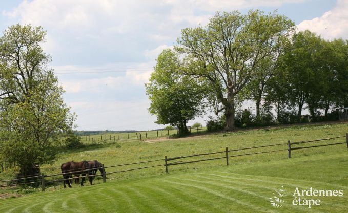 Ferienhaus Houffalize 16 Pers. Ardennen Wellness