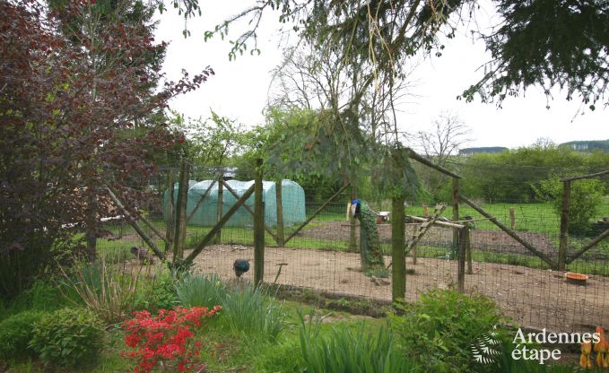 Ferienhaus Houffalize 16 Pers. Ardennen Wellness