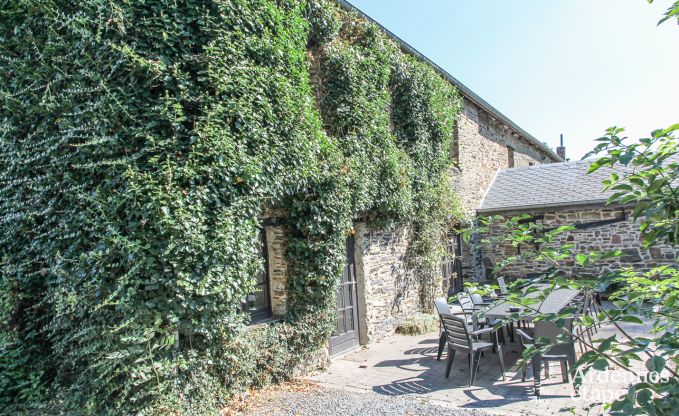 Ferienhaus Houffalize 16 Pers. Ardennen Wellness