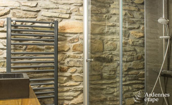 Ferienhaus Houffalize 14 Pers. Ardennen Wellness