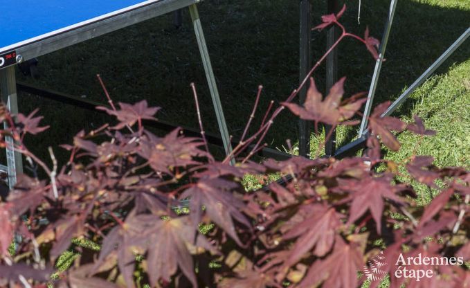 Ferienhaus Houffalize 14 Pers. Ardennen Wellness