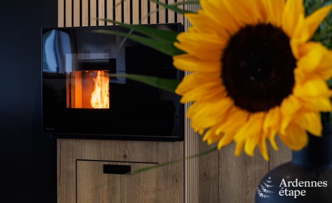 Ferienhaus Houffalize 8 Pers. Ardennen Wellness