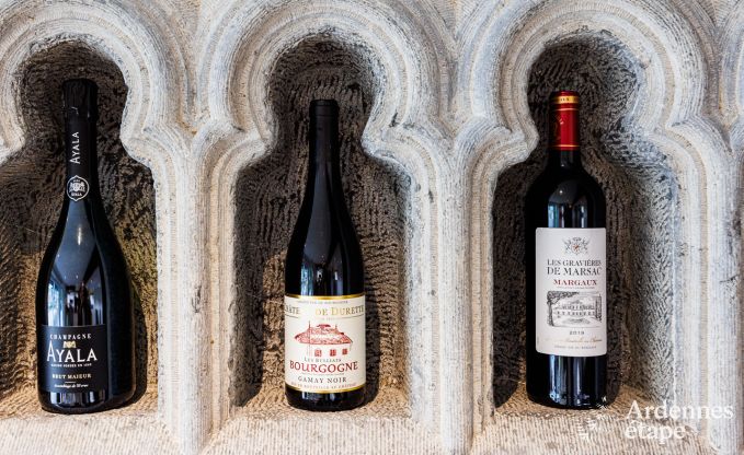 Ferienhaus Houffalize 8 Pers. Ardennen Wellness