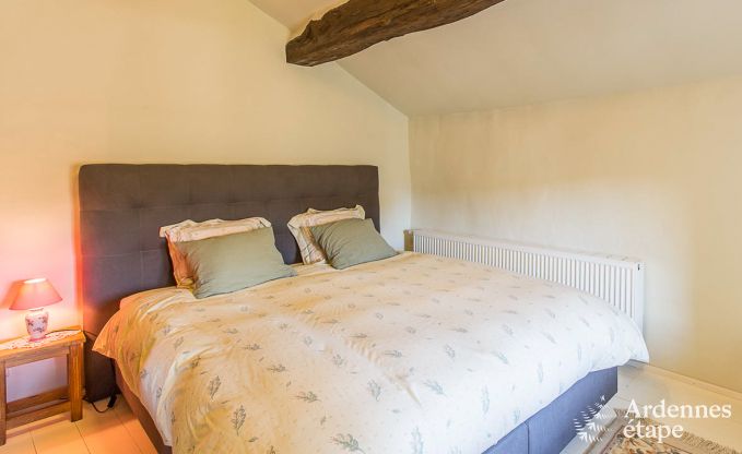 Ferienhaus Houffalize 8 Pers. Ardennen Wellness