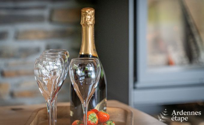 Ger�umiges und komfortables Ferienhaus in Houffalize, Ardennen