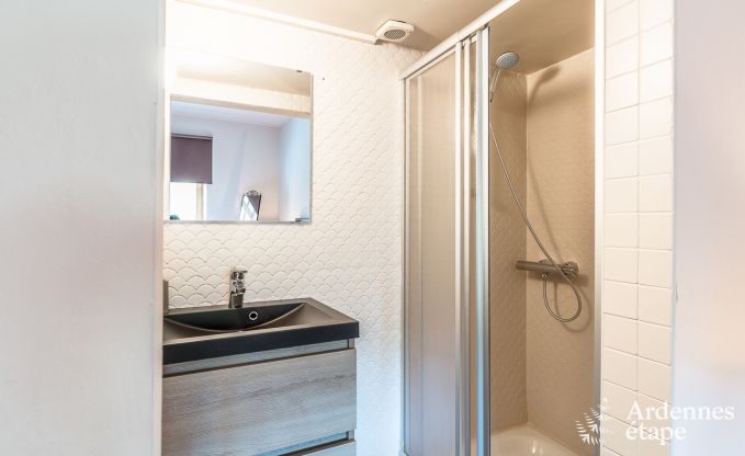 Luxusvilla im Herzen von Houffalize: Ferienhaus fr 24 Personen mit Sauna, Jacuzzi und Spielzimmer in den Ardennen